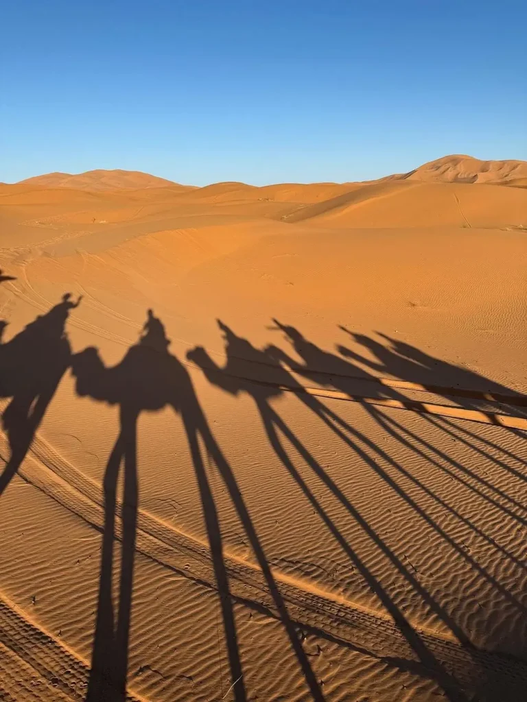 Balade à dos de dromadaire dans le désert d’Agafay