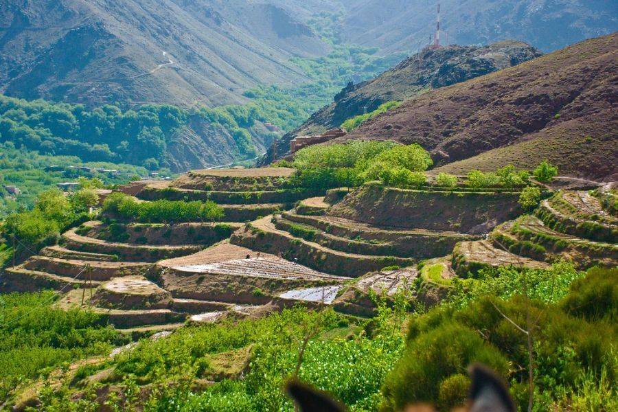 Excursion au Plateau de Kik – Demi-journée depuis Marrakech