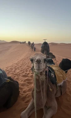 Circuit Désert de 3 Jours_9